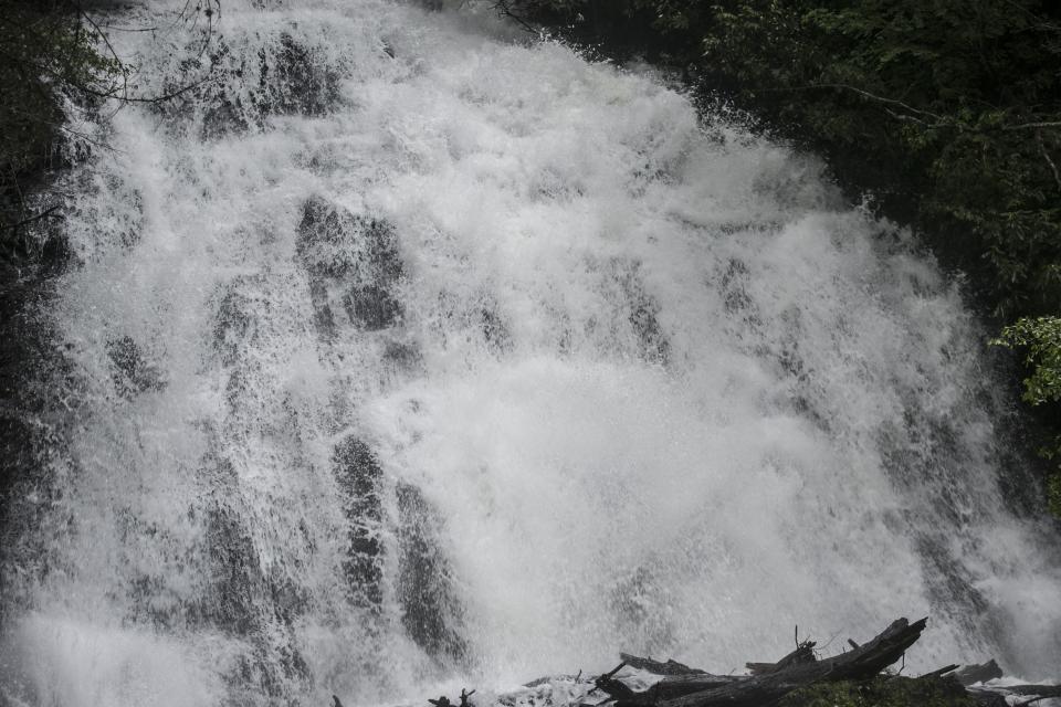 <p>Here are some more photos of Anna Ruby Falls. (Photo by <strong><a href=