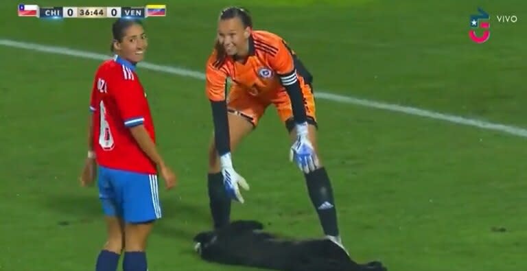 Las caricias al perrito que interrumpió el partido entre Chile y Venezuela