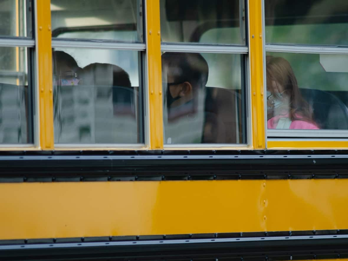 Most children in Newfoundland and Labrador have been learning online since the end of December. (Mike Moore/CBC - image credit)