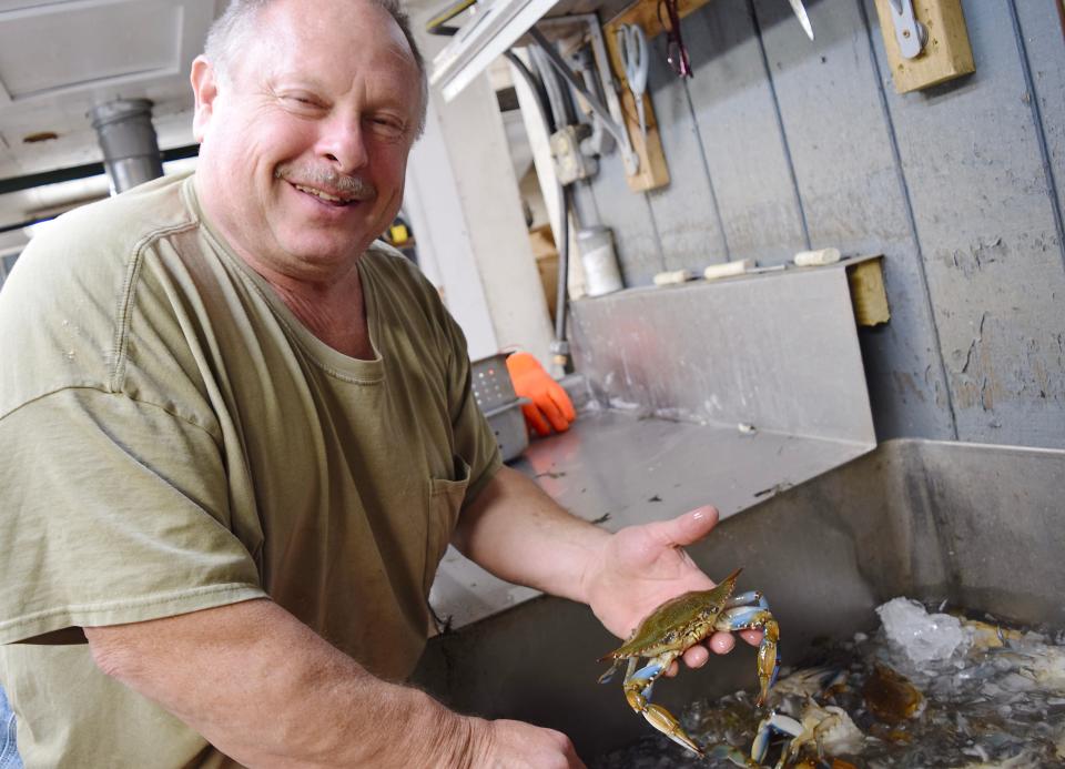 Rick Herzog, who owns Chic's Seafood with his family, hoists a freshly delivered blue crab.