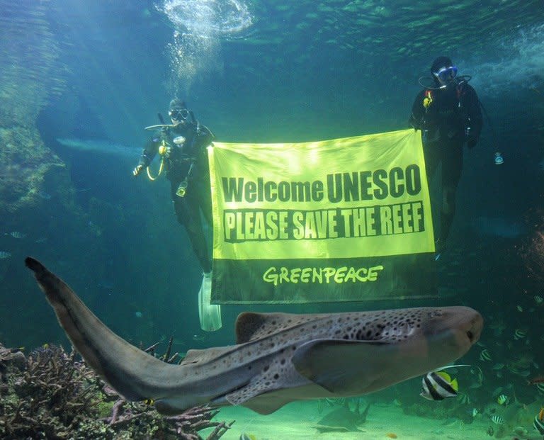 A leopard shark (below), swims past as Sydney Aquarium divers unveil a Greenpeace banner urging UNESCO to save the Great Barrier Reef at the Sydney Aquarium on March 5, 2012. Australia insisted it was committed to protecting the Great Barrier Reef on Saturday after the UN warned that the natural wonder's world heritage status could be in downgraded in 2014