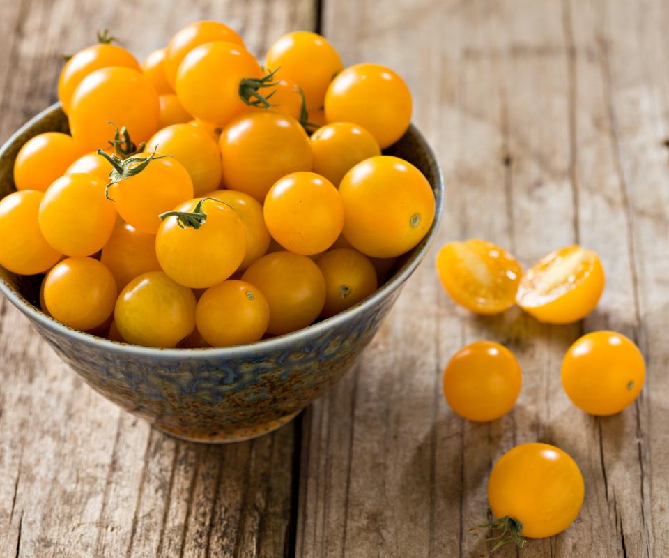 Sungold tomato variety