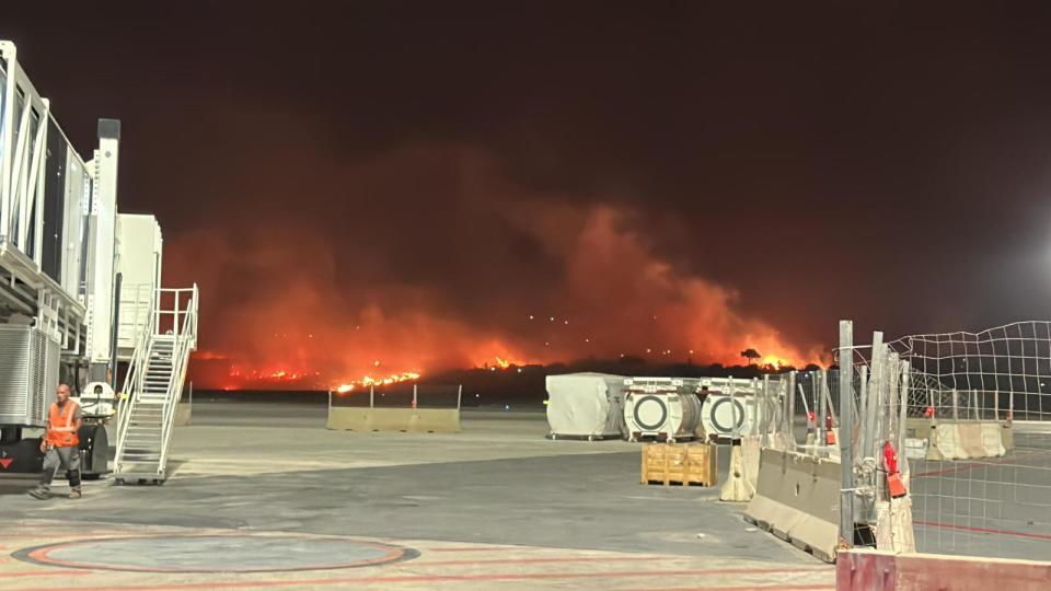 (Aeroporto di Palermo)