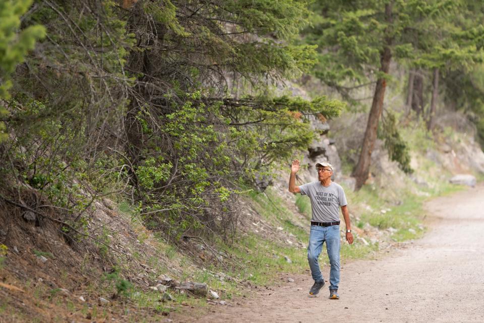 Jack Hanna stops to thank, pray for, or touch every tree he can reach as he takes his daily walk along the Bigfork Nature Trail near his Montana home on May 2. 