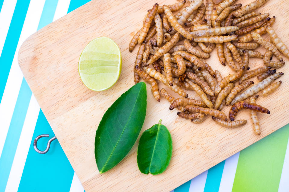 Vielleicht sind Insektengerichte umweltfreundlicher, aber sie sehen definitiv nicht lecker aus. (Bild: Getty Images)