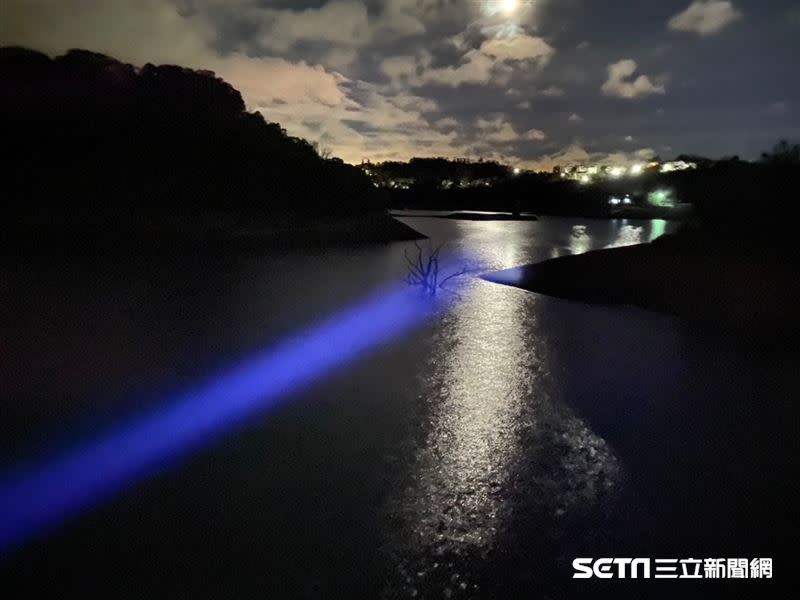 寶山水庫的夜色有其迷人之處。（圖／記者陳弋攝影）