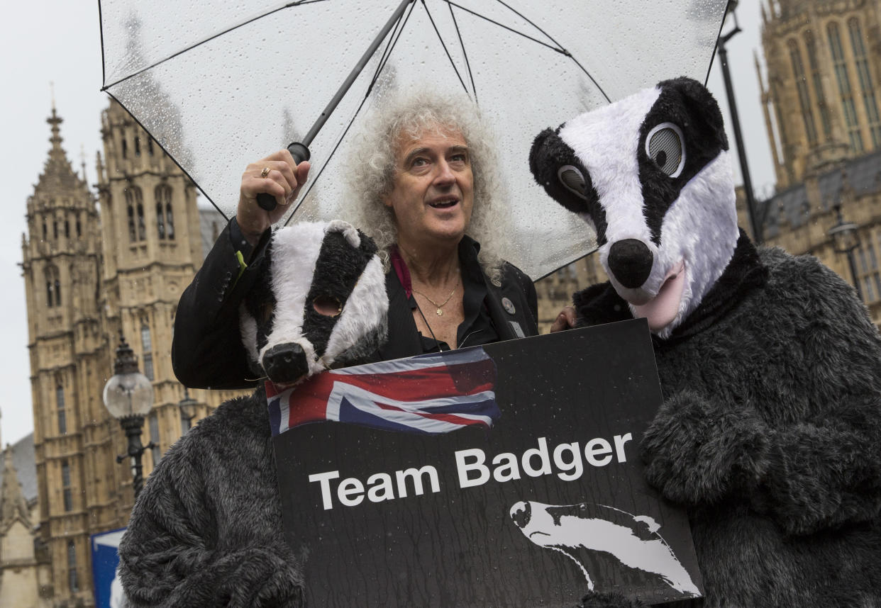 LONDON, ENGLAND - JULY 12:  Former Queen guitarist and campaigner Brian May poses with people dressed as Badgers during a photocall on July 12, 2016 in London, England. The event was organised to 'urge' the government to abandon their planned Badger Cull which is to be rolled out in the Autumn. (Photo by Dan Kitwood/Getty Images)