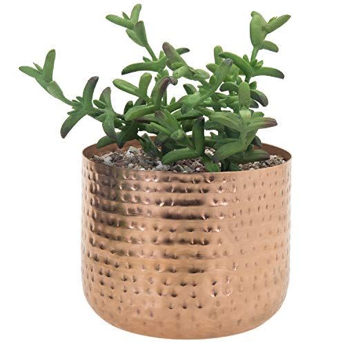 6) Copper Tone Metal Plant Pot