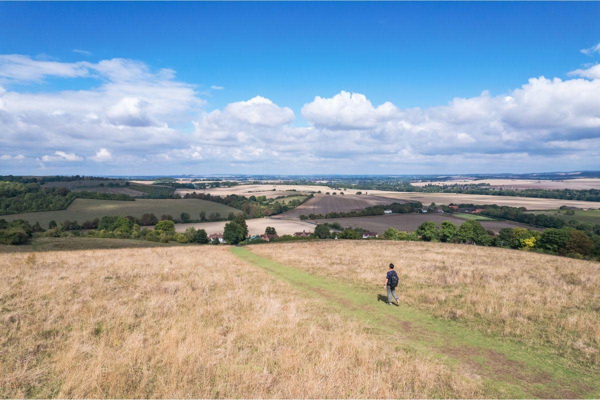 Need some walking inspiration? Look no further than these routes in Oxfordshire <i>(Image: Getty)</i>