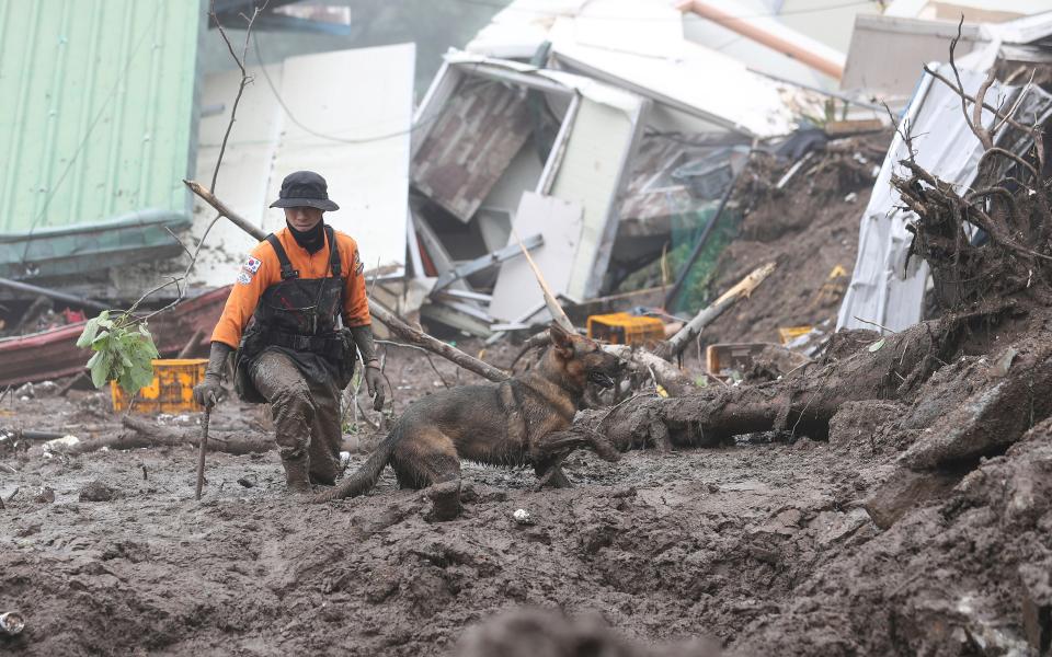 FILE - A rescue worker with a dog searches for people at the site of a landslide caused by heavy rain in Yecheon, South Korea, July 16, 2023. Scientists say increasingly frequent and intense storms could unleash more rainfall in the future as the atmosphere warms and holds more moisture. (Yun Kwan-shick/Yonhap via AP, File)