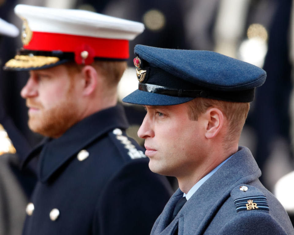 Prince William and Prince Harry in close image