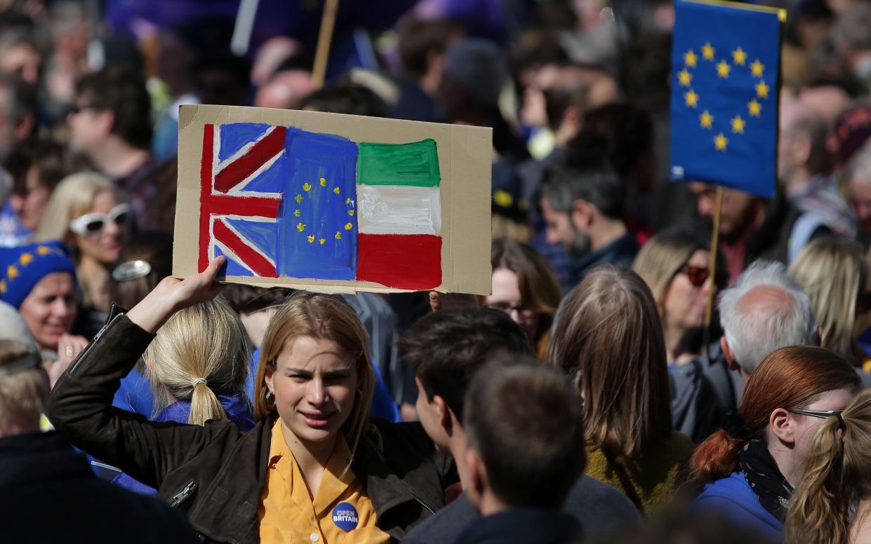 A demonstrator holds a placard bearing a Union, EU and Irish flag as she prepares to participate in an anti Brexit, pro-European Union (EU) march in London - AFP or licensors