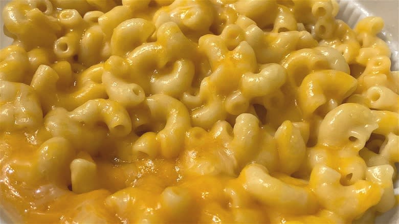 mac and cheese close up
