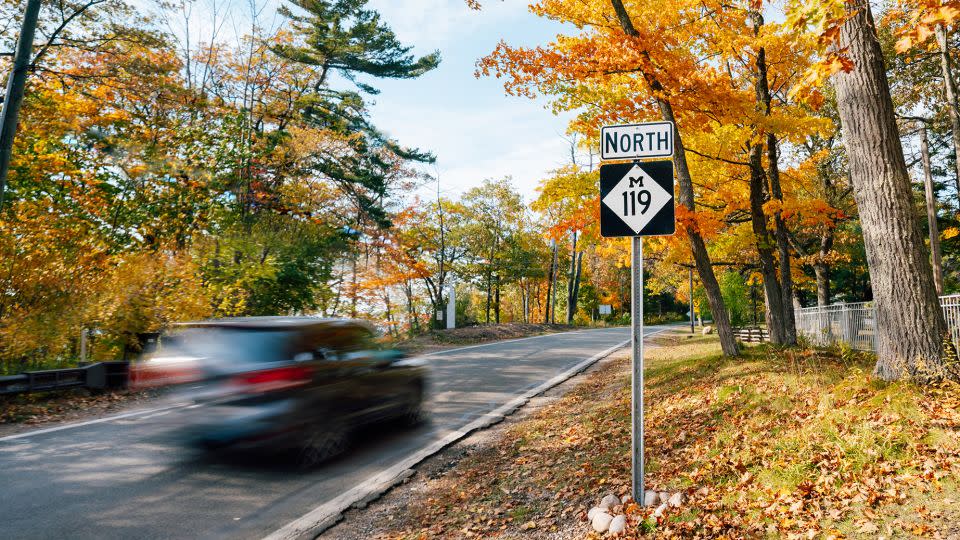 M-119 is a scenic drive in the northwestern part of the Lower Peninsula in Michigan. It hugs Lake Michigan and is known as the "Tunnel of Trees." - PureMichigan