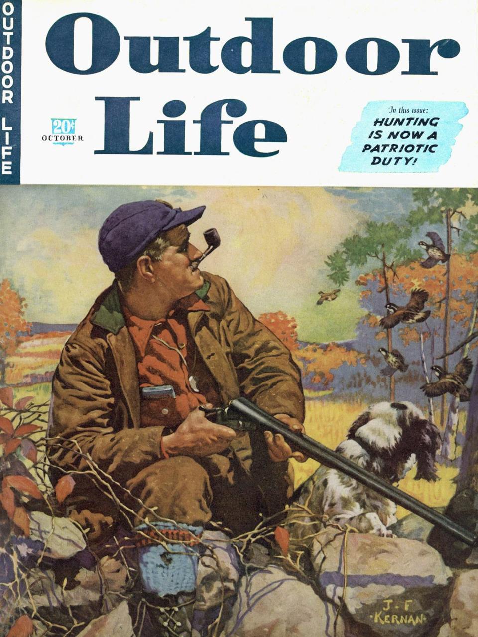 October 1942: This theme—flushing a covey while crossing a fence—appears often through the decades.