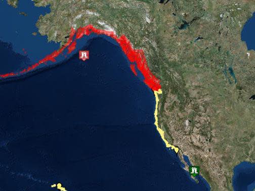 Tsunami warning as it happened: Threat to US and Canada ebbs away after earthquake sparks panic