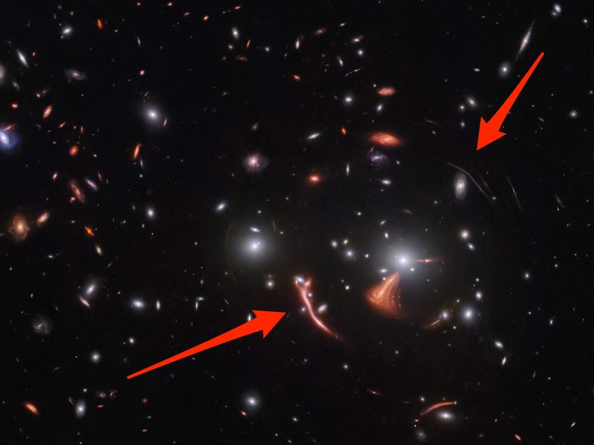 New James Webb Telescope Photo Of A Galaxy Cluster 6 Billion Light Years Away Shows A Tragic 