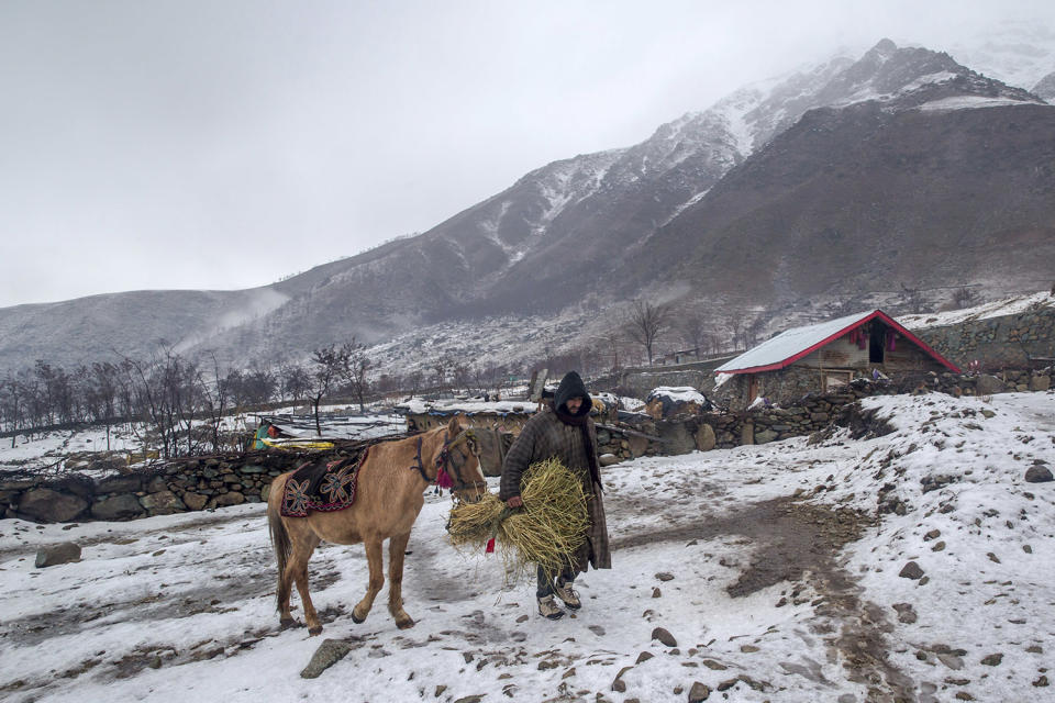 Walking the horse in Kashmir