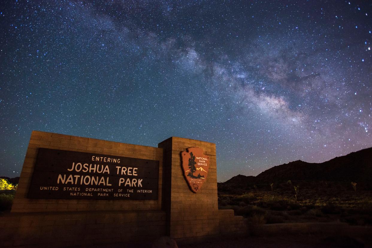 Stars lights up Joshua Tree's otherwise serenely dark sky.