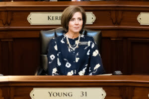 Rep. Julianne Young (R, Blackfoot)