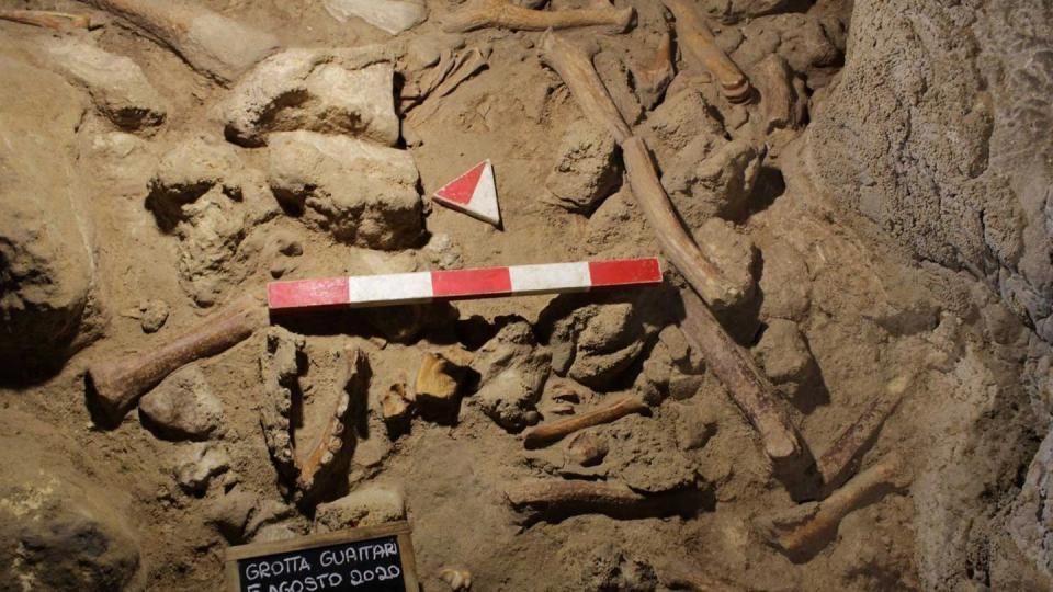 Blick in die Guattari-Höhle in Italien (Archivbild). Hier haben Wissenschaftler bei neuen Untersuchungen Überreste von weiteren neun Neandertalern gefunden.