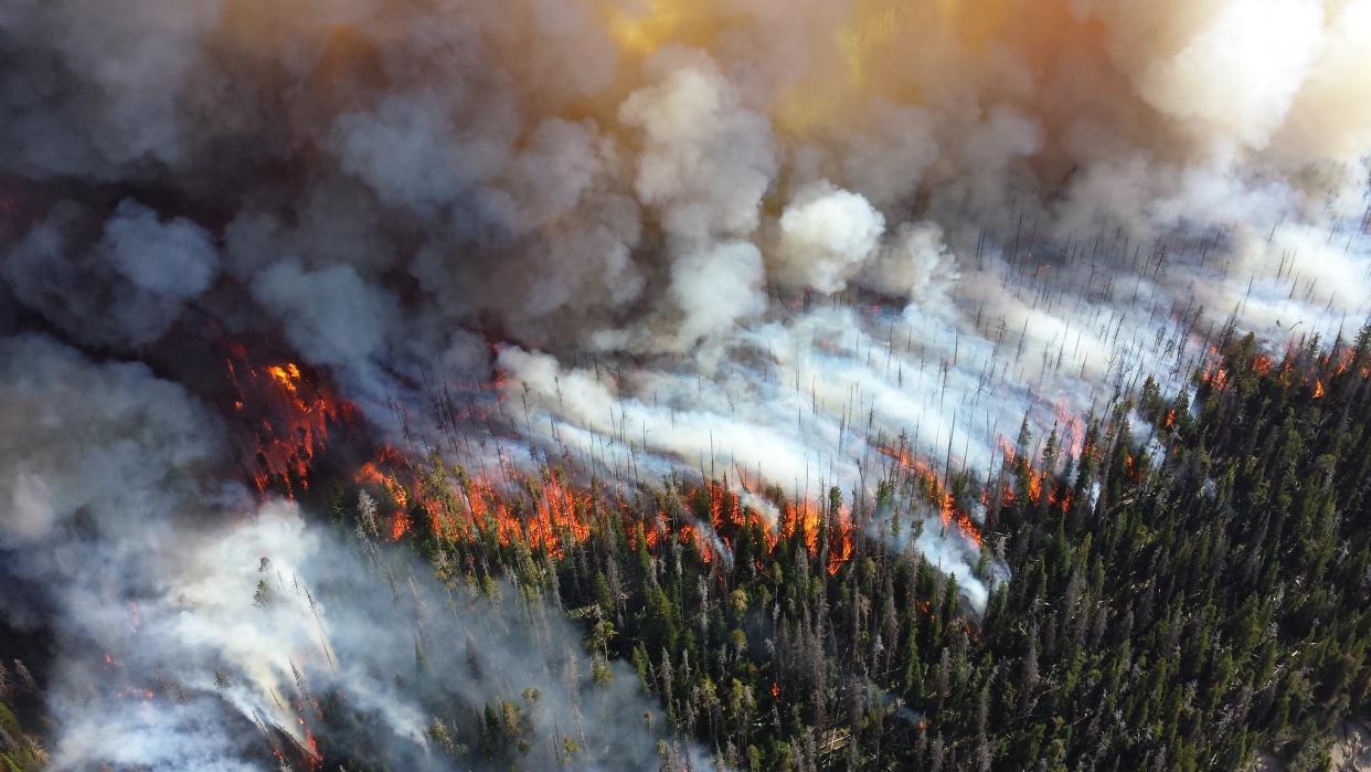 The 2013 Alder Fire in Yellowstone National Park. Mike Lewelling / National Park Service via Flickr