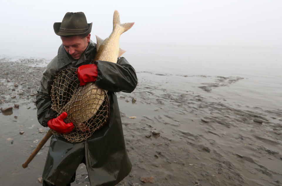 A fisherman carries his haul in Hodnov, Czech Republic