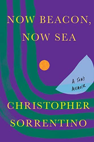 5) <em>Now Beacon, Now Sea</em>, by Christopher Sorrentino