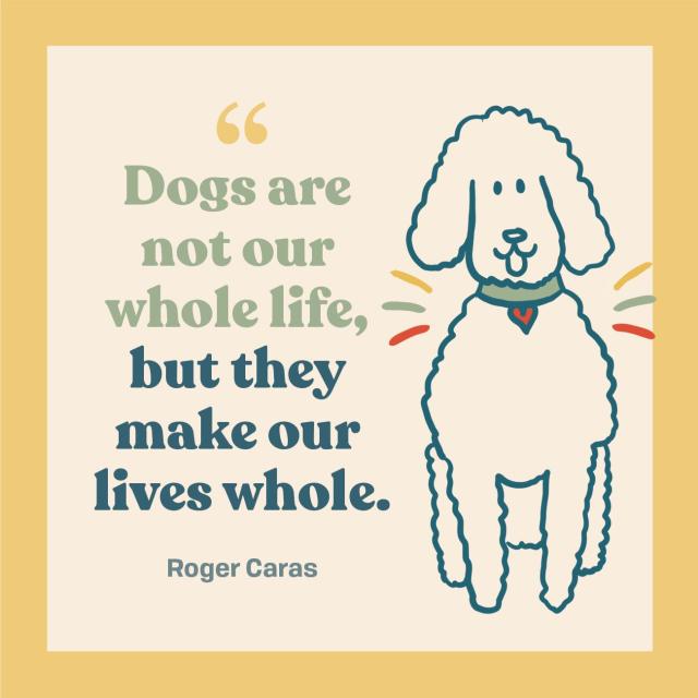 dog loss quotes sayings