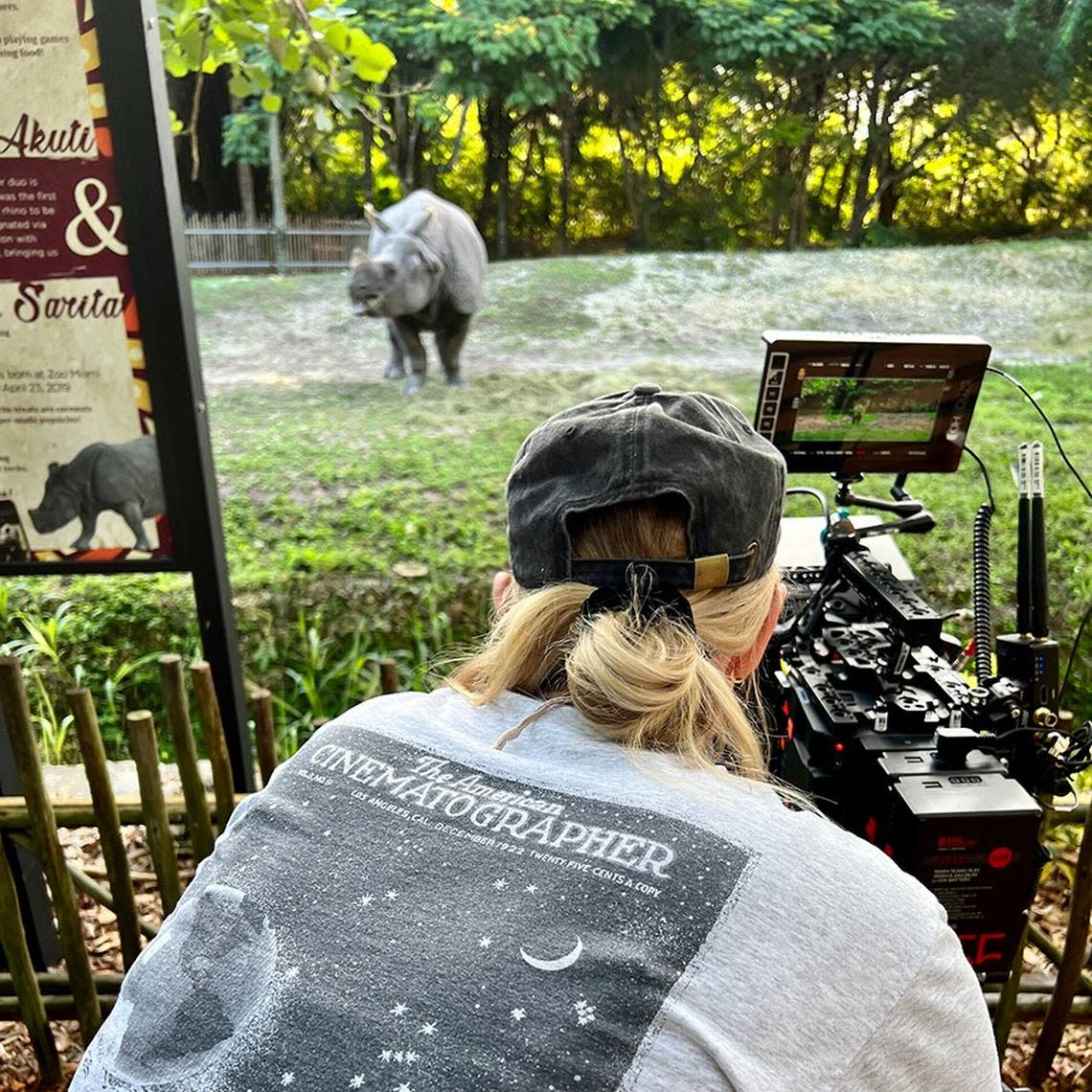 Action! Akuti, a greater one-horned rhino at Zoo Miami, on the set at Zoo Miami, for her performance in a coming film tentatively titled, “Omni Loop.” The production team and director shot scenes featuring the rhino at Zoo Miami on Sept. 6, 2022.
