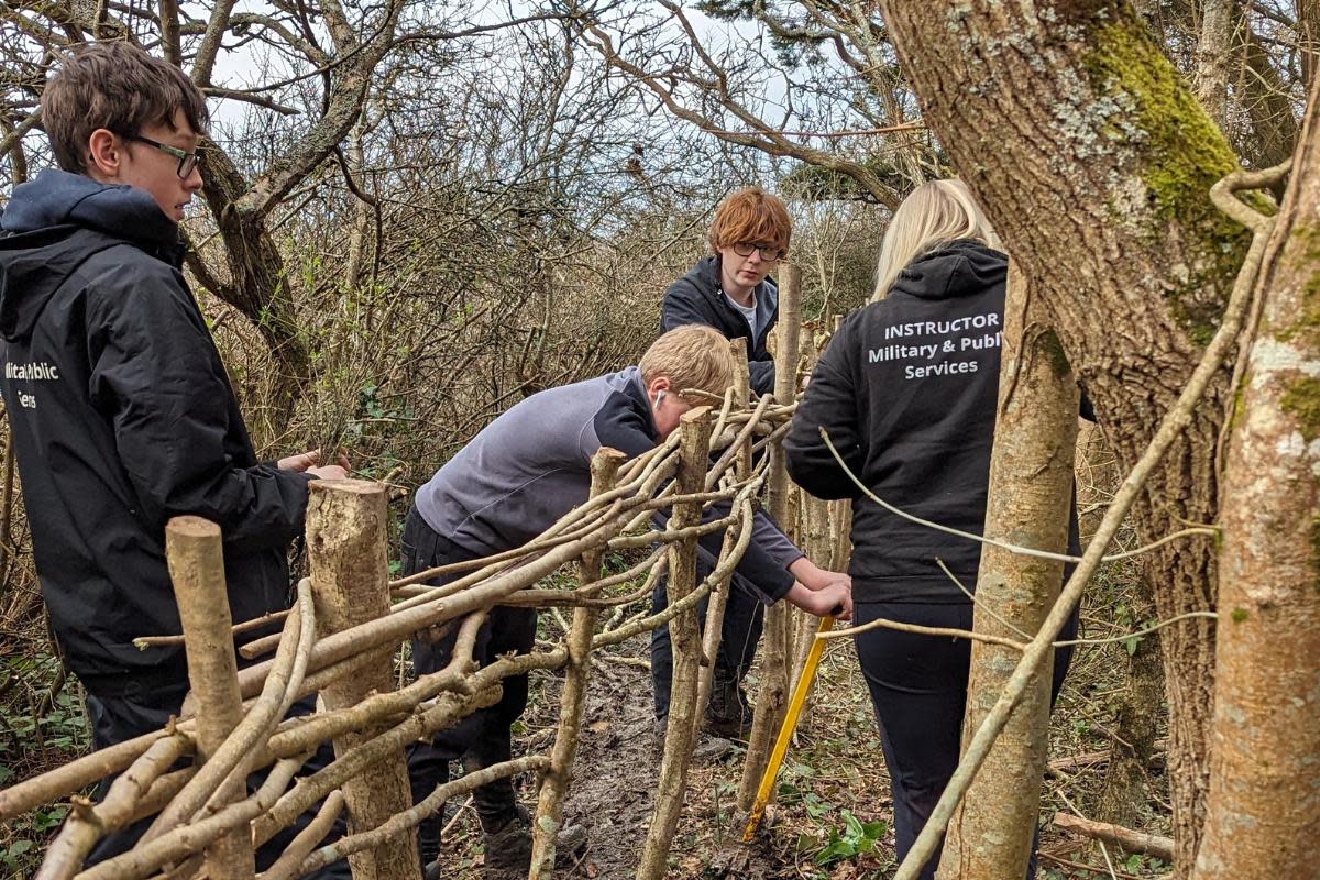 Helping to breathe new life into Mill Copse <i>(Image: Wight Nature Fund)</i>