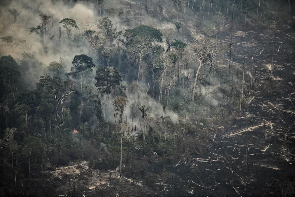 Vista aérea de una zona afectada por incendios forestales en la selva amazónica en la región Ucayali, Perú, el 17 de septiembre de 2024. La presidenta peruana Dina Boluarte decretó el 18 de septiembre el estado de emergencia en tres departamentos de la selva aún afectados por incendios forestales que han matado a 16 personas en lo que va del año. (Foto de Hugo LA ROSA / AFP) (Foto de HUGO LA ROSA/AFP vía Getty Images)