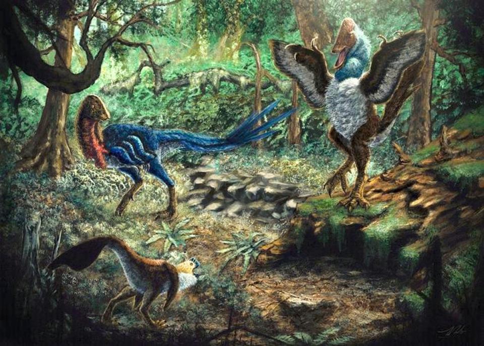 Artist’s depiction of dinosaurs Eoneophron infernalis (top left), MOR 752 (bottom left), and Anzu wyliei (right) in the Hell Creek Formation (Atkins-Weltman et al)