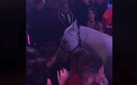 Onlookers gasped as the horse appeared