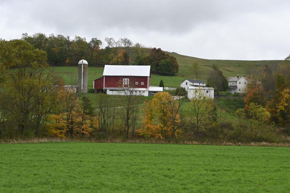 A program titled Wayne County Barn Revival will be held 9:30 a.m.-noon Friday a the Buckeye Ag Museum in Wooster.