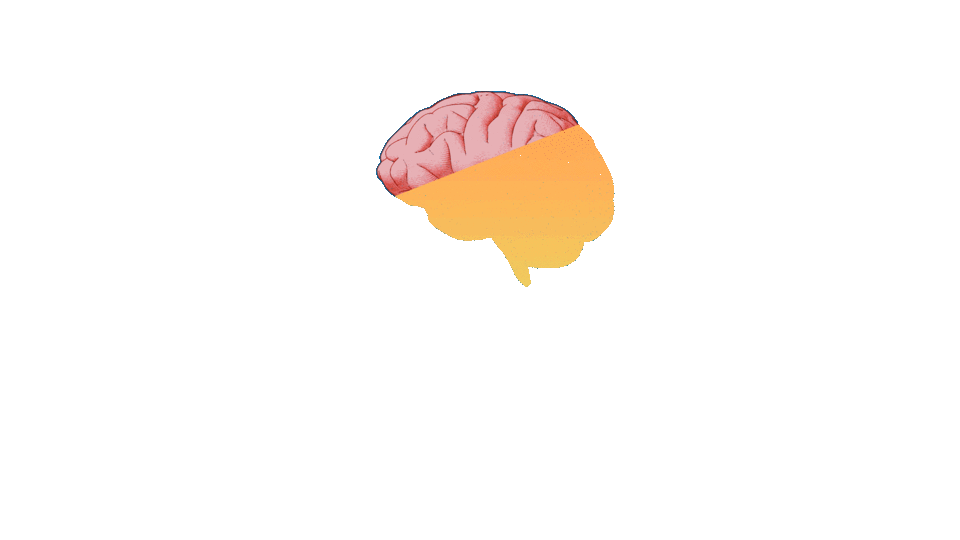 silhouette of a woman with a brain