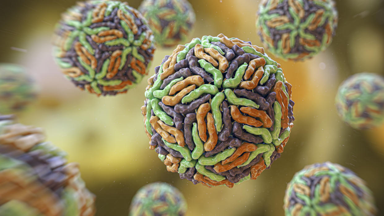  An illustration of multicolored virus particles shaped like the Zika virus with green, orange and purple proteins tessellated on their surfaces. 