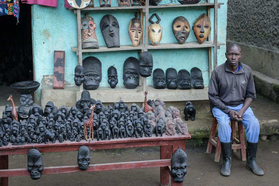 A local man displays souvenirs for sale at the entrance of Volcanoes National Park, Rwanda, on October 29, 2021. With hundreds of mountain gorillas in residence, the Volcanoes National Park in Rwanda is a conservation triumph. But this resurgence is not without consequences, as the majestic creatures now struggle for space to grow and thrive.
Thanks to this revival, the mountain gorilla, known for its thick, shiny fur, is now listed as 