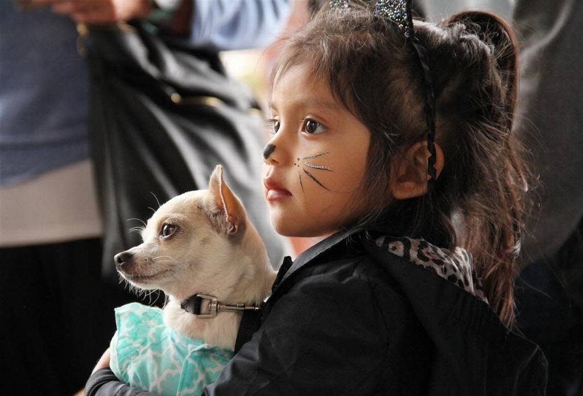 Sophie Mendoza, 2, with her chihuahua Tinkerbell on Sunday, Oct. 29, 2017, in Durham Central Park.