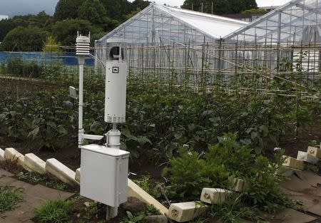 Sensors measuring temperature and humidity are seen at a test site for Fujitsu's cloud-based farming system in Numazu, Shizuoka prefecture June 27, 2014. REUTERS/Sophie Knight