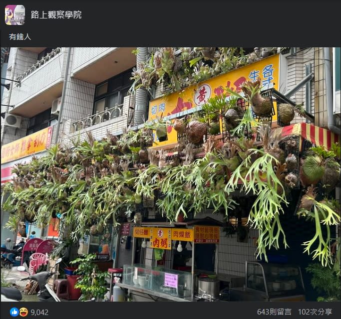 肉粥店上的鹿角蕨引發討論。（圖／翻攝自路上觀察學院臉書社團）