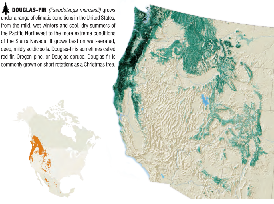 Douglas-firs grow primarily in the Western U.S. <a href="https://www.fs.usda.gov/sites/default/files/fs_media/fs_document/Forest-Atlas-of-the-United-States.pdf" rel="nofollow noopener" target="_blank" data-ylk="slk:USDA;elm:context_link;itc:0;sec:content-canvas" class="link ">USDA</a>