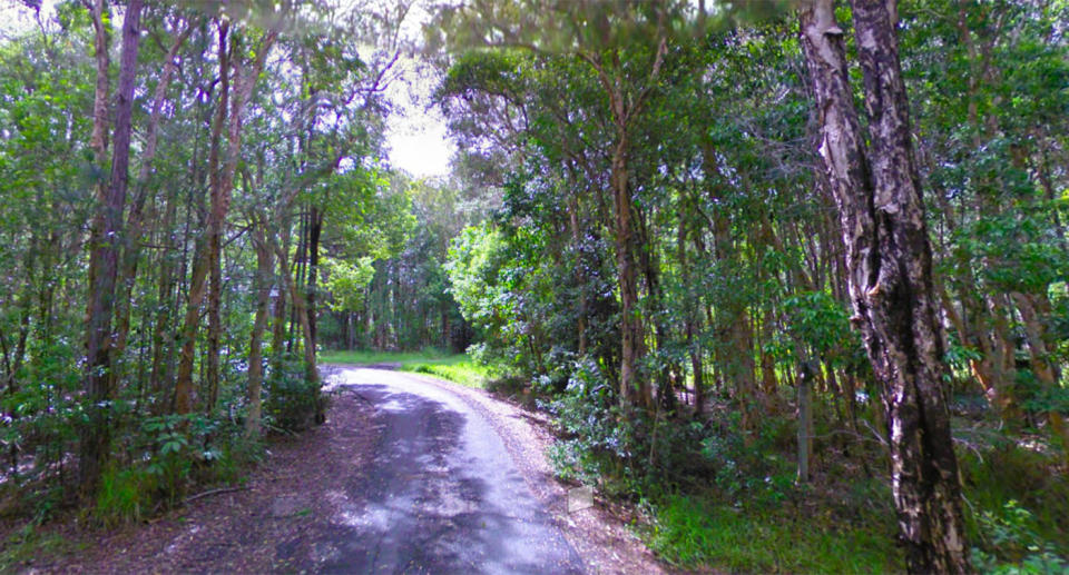 A street view of bushland off Butler Street, in the suburb of Tewantin. Source: Google