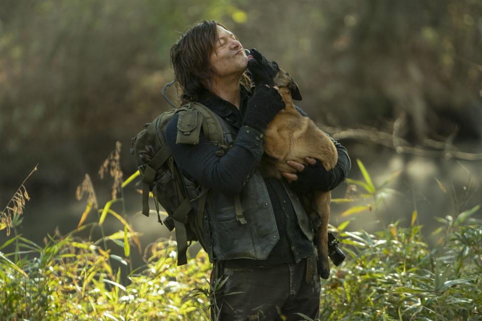 norman reedus, dog, the walking dead, season 10