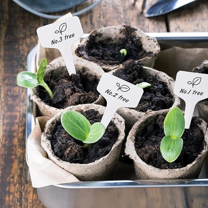 Endlich Ordnung im Garten: Mit den wetterfesten Pflanzenschildern. (Foto: Amazon)