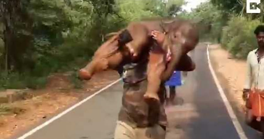 印度森林護管員薩拉庫馬，為了營救小象，竟然毫無多想，就一肩扛起比自己還重的動物。（圖／翻攝自@susantananda3推特）