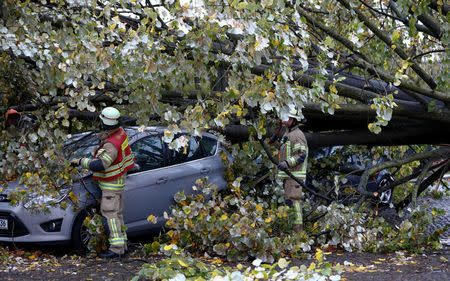 Firefighters are pictured next to a car damaged by a tree during stormy weather caused by storm called "Herwart" in Berlin, Germany, October 29, 2017. REUTERS/Fabrizio Bensch
