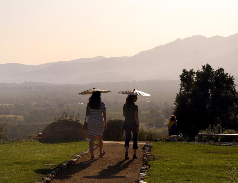 Two women walk down a path holding parasols.