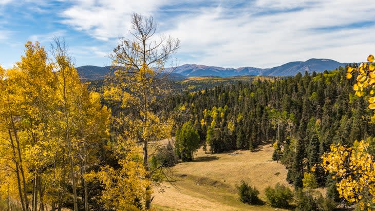 Carson National Forest camping