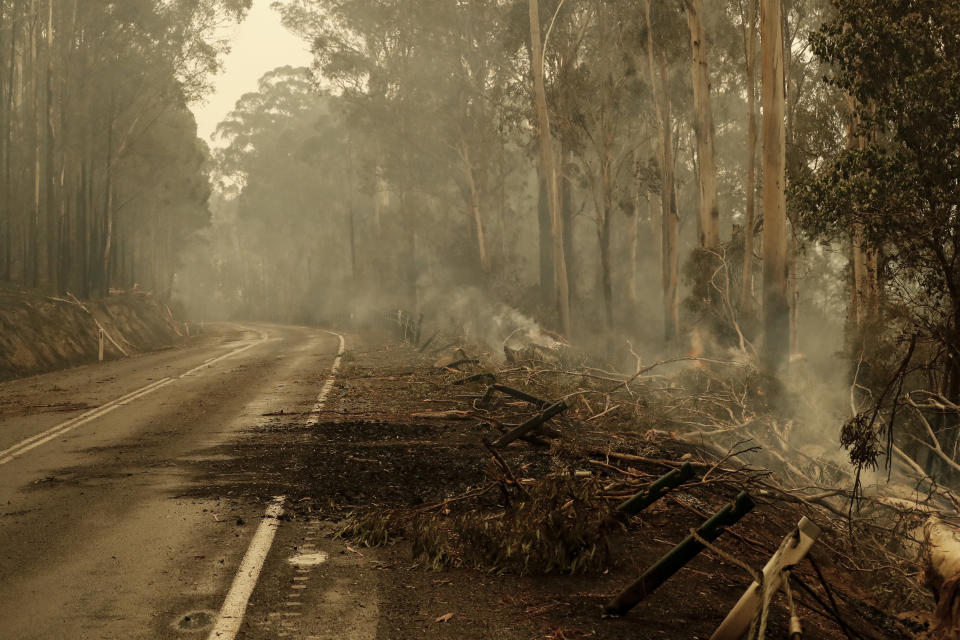 Burnt trees and debris cover the road outside Cann River along the Monaro Highway, Australia. 